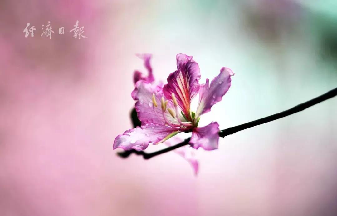 【社会】为什么还愿意看朋友圈？这是我见过最积极的答案