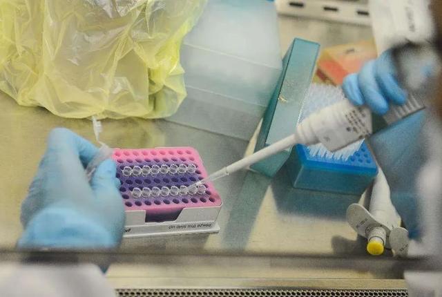 [疫情]张文宏：下一波疫情可能11月来