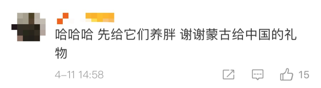 【中国武汉】蒙古国赠送的3万只羊什么时候赶过来？确切消息来了！网友：等不及了……