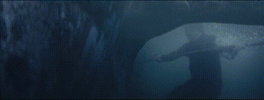 来源：《龙岭迷窟》