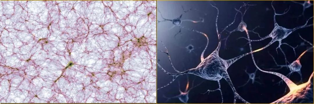 左：宇宙星系分布  右：人类大脑神经元