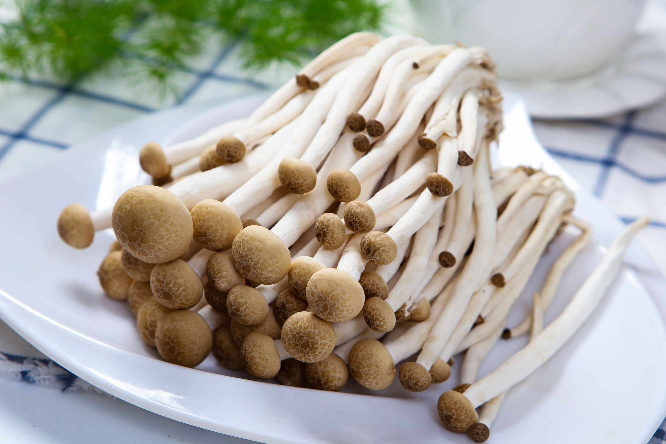 春天宁可不吃肉也要常吃它蒸8分钟出锅鲜美又嫩滑