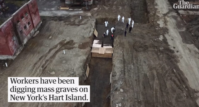 疫情：50天，纽约如何从1例涨到23万例？