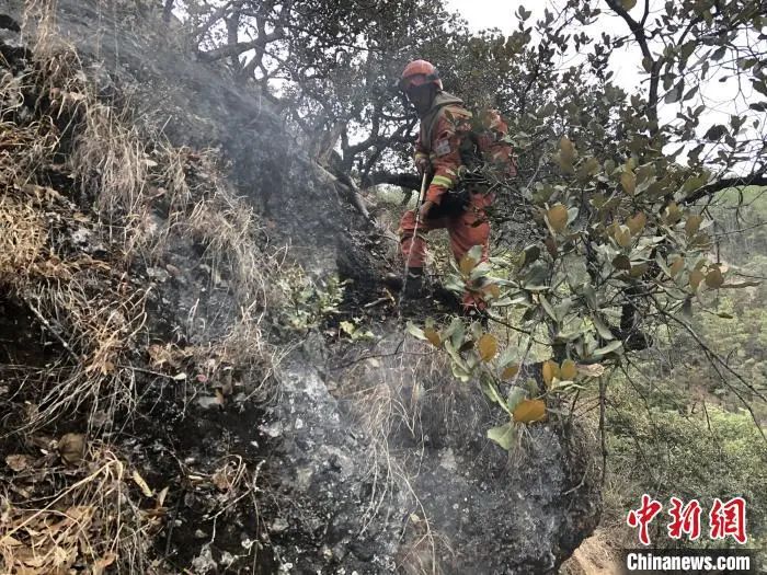 【森林火灾】丽江龙蟠乡森林火灾东线已无明火 北线西线基本控制