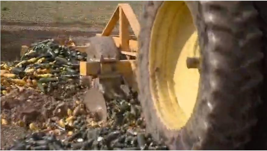 「三农」倒牛奶、砸鸡蛋，对猪安乐死……美国农业或遇史上最糟糕一年