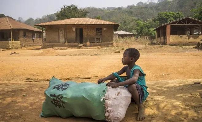 [疫情]2.6亿人将因疫情遭遇粮食危机？！米面油会涨价吗？囤不囤？