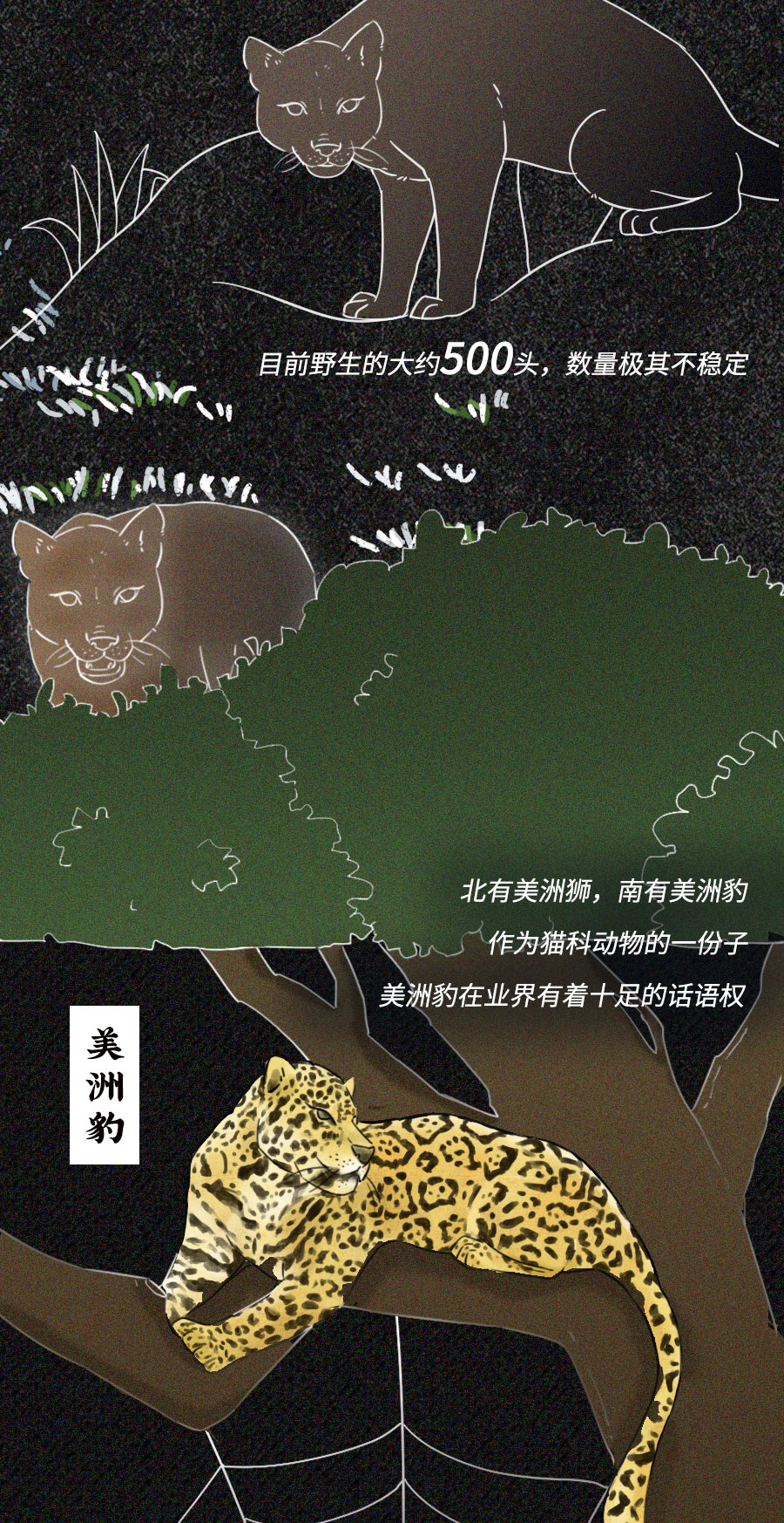 「动物」濒临灭绝的动物们：你们还好吗？