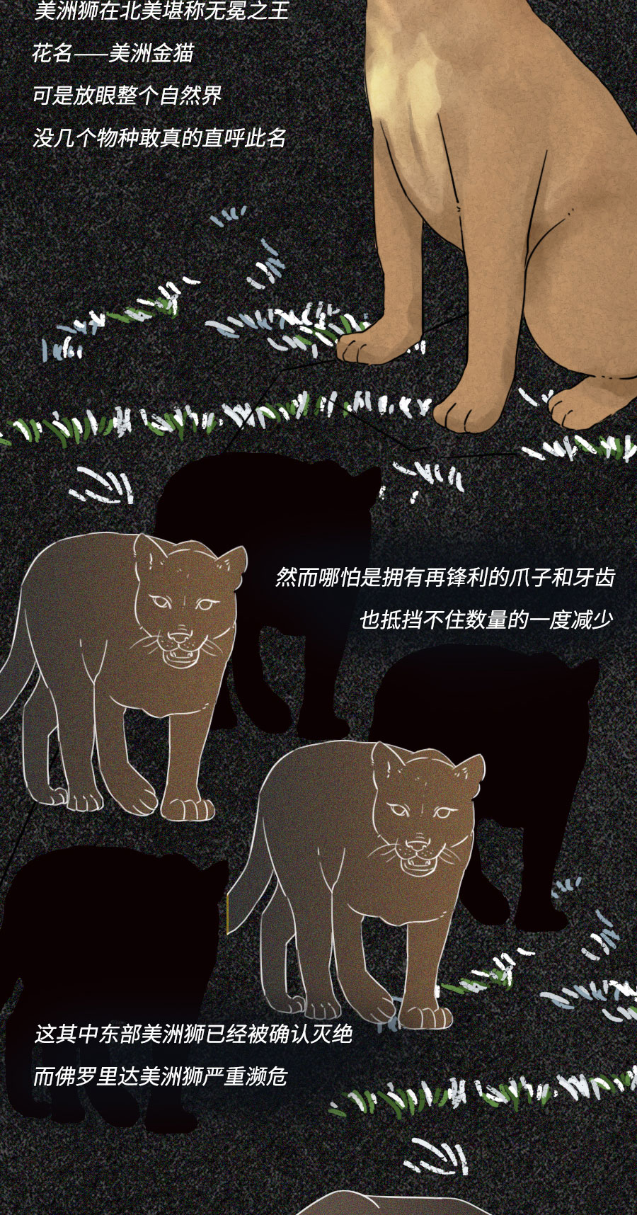 「动物」濒临灭绝的动物们：你们还好吗？