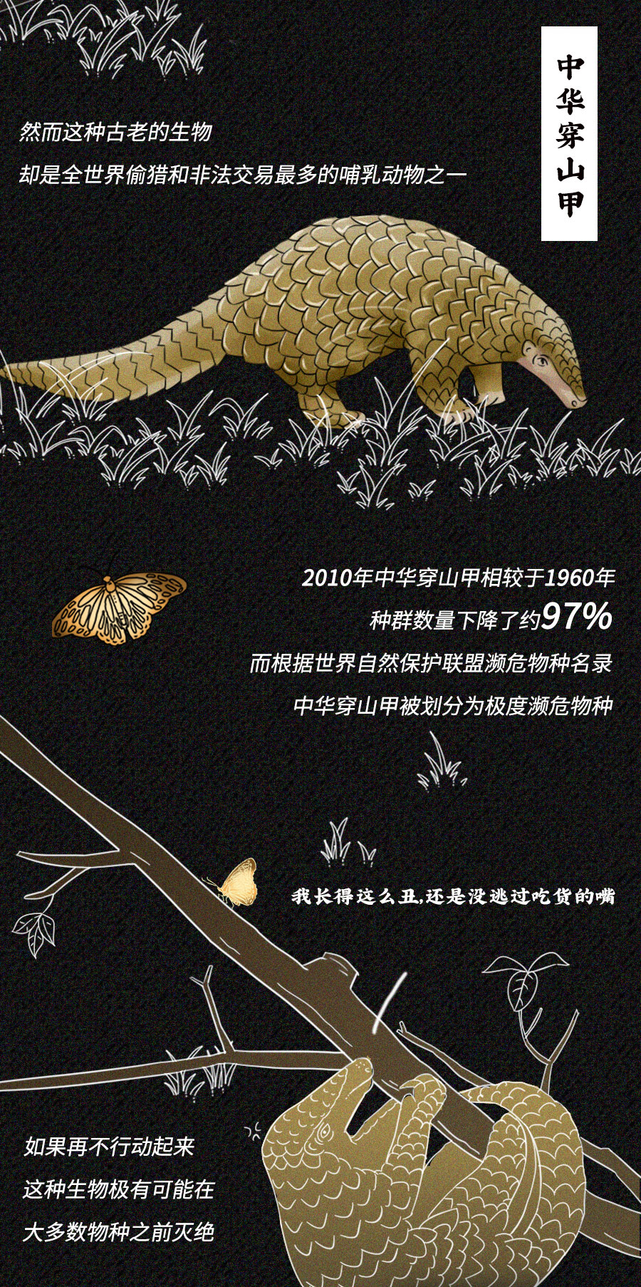 「动物」濒临灭绝的动物们：你们还好吗？