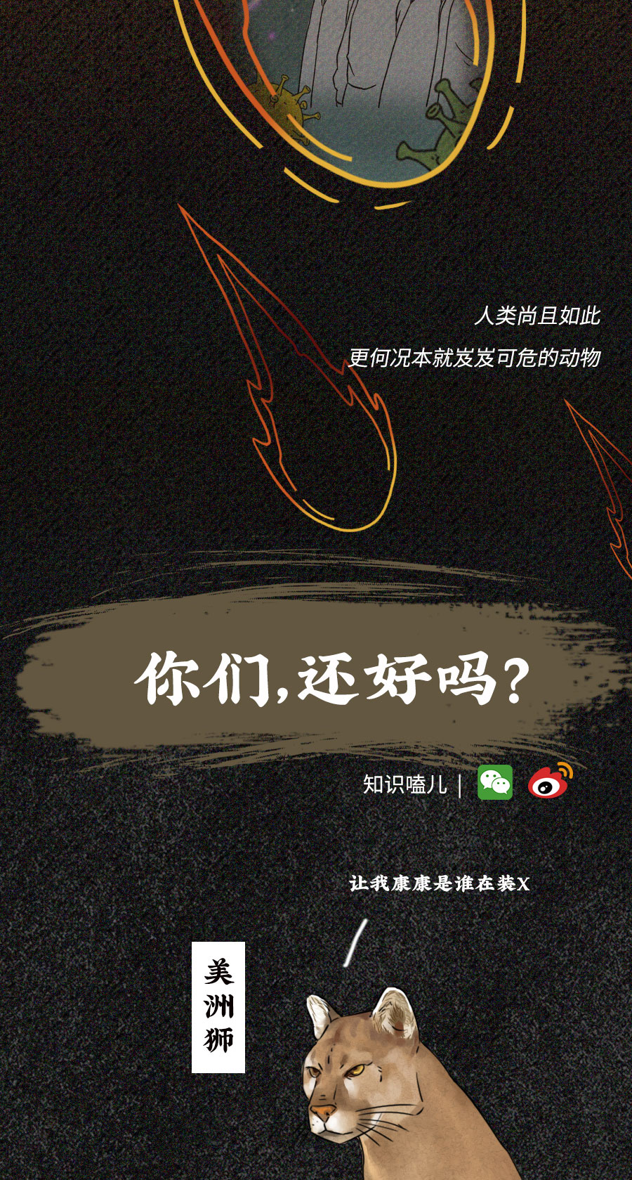 「动物」濒临灭绝的动物们：你们还好吗？