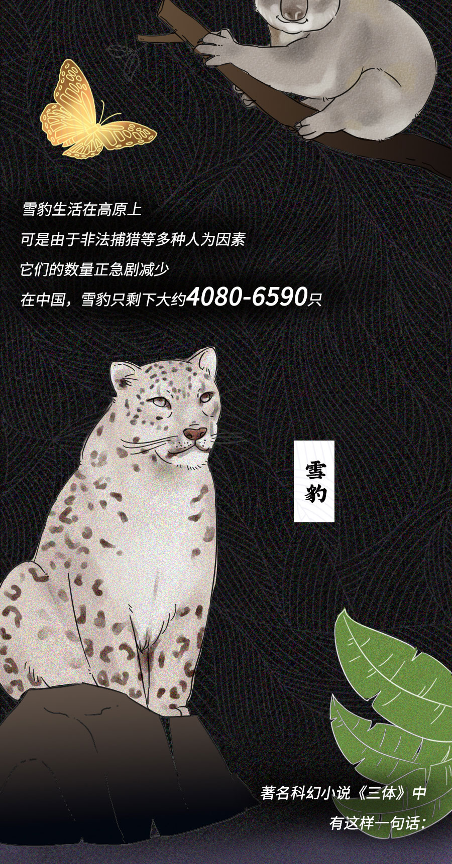 「动物」濒临灭绝的动物们：你们还好吗？