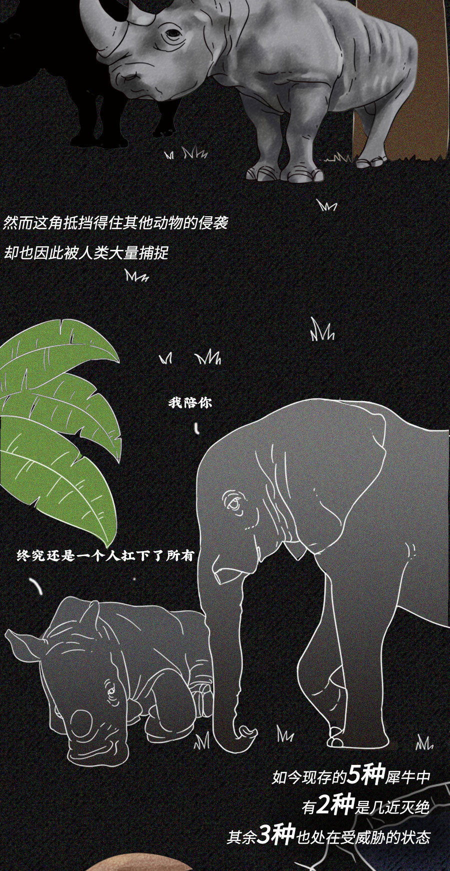 「动物」濒临灭绝的动物们：你们还好吗？