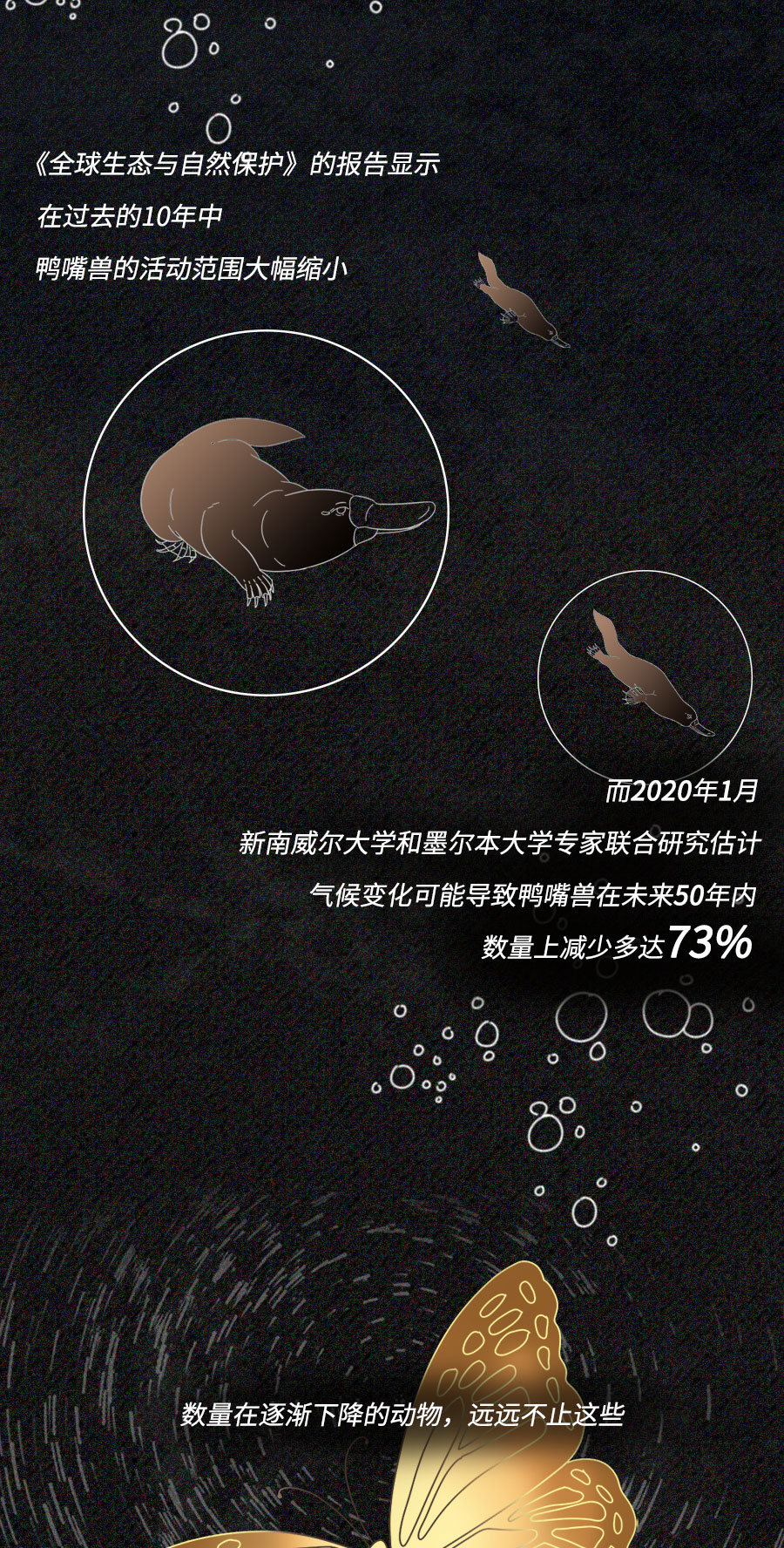 「动物」濒临灭绝的动物们：你们还好吗？