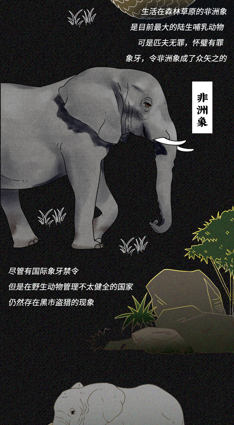 「动物」濒临灭绝的动物们：你们还好吗？