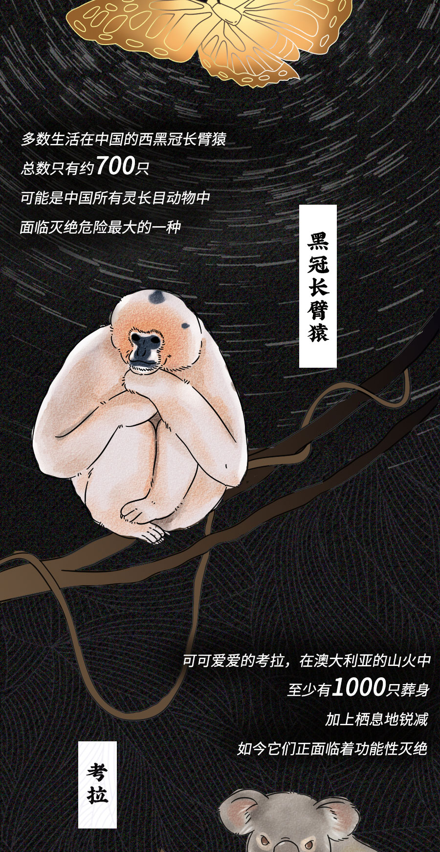 「动物」濒临灭绝的动物们：你们还好吗？