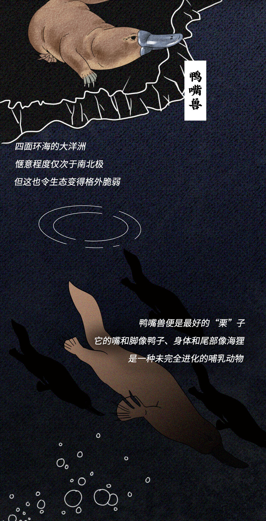 「动物」濒临灭绝的动物们：你们还好吗？