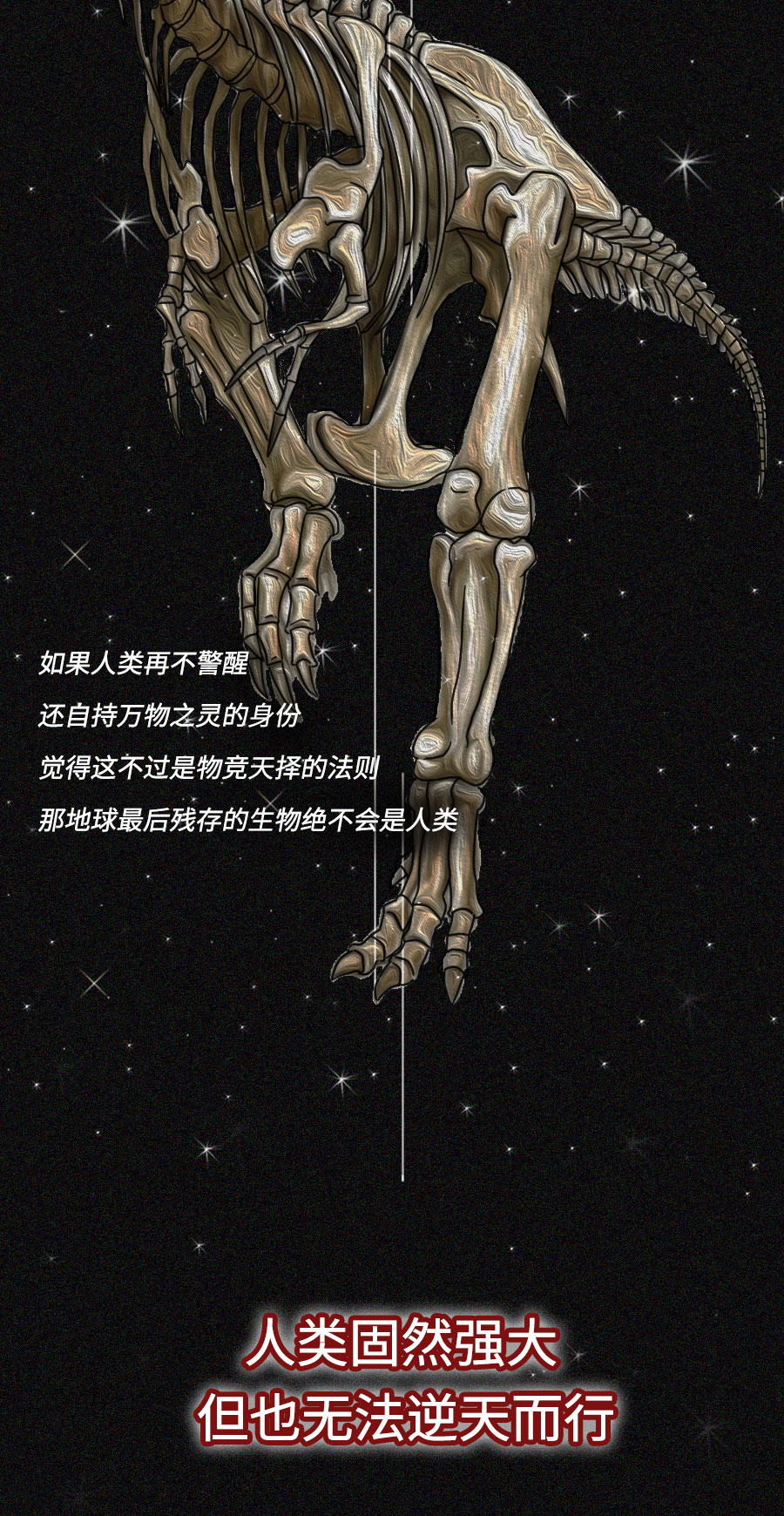 「动物」濒临灭绝的动物们：你们还好吗？