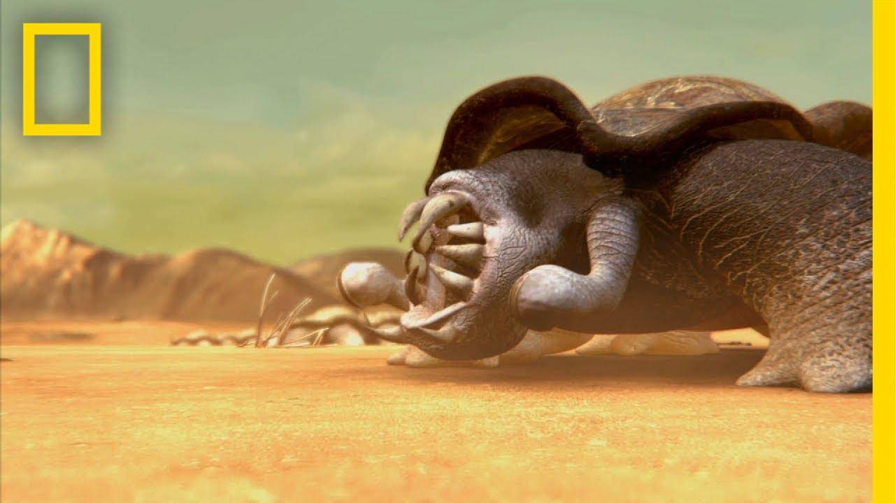 科技@在重力很大的星球上,生命会是什么样子的?