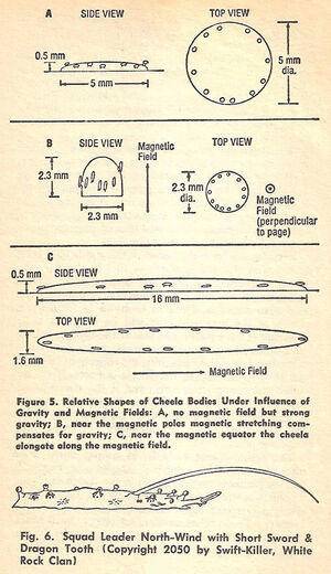科技@在重力很大的星球上,生命会是什么样子的?