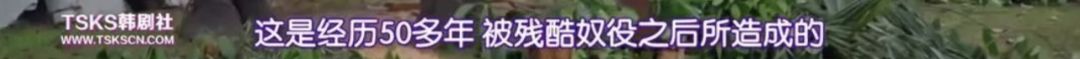 『大象』朴信惠掩面大哭：“对不起，都是我的错。”｜百家故事
