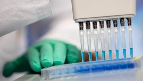 国际■德媒：德国新冠病毒疫苗研发有进展 首个临床实验项目获批