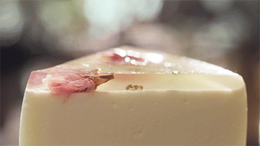 樱花：无烤箱无裱花，做出最美的樱花镜面水晶蛋糕