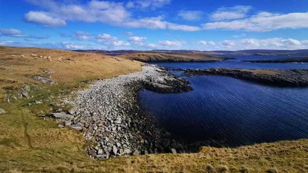疫情■一人一狗一荒岛:徒步三年路遇疫情,英男子“荒岛求生”