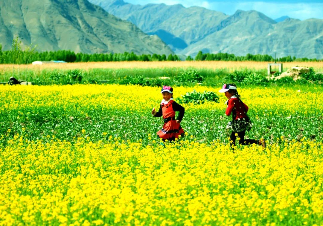 摄影：“美丽中国，我是行动者”主题摄影作品展（5）