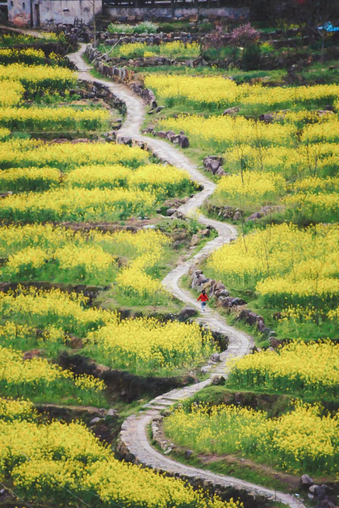 摄影：“美丽中国，我是行动者”主题摄影作品展（5）