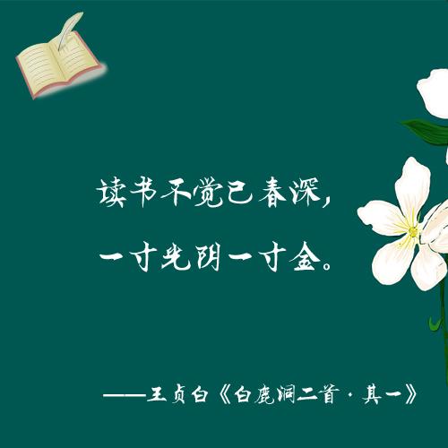 「新媒体」最是书香能致远 带你找寻读书之乐「组图」