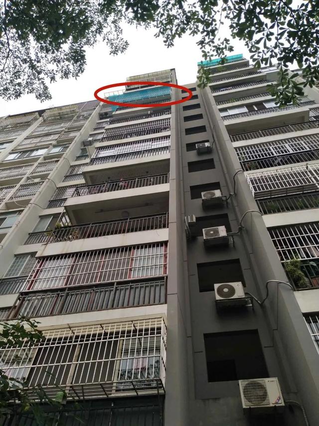 #社会#女子每天24小时制造噪音，邻居崩溃！民警多次上门，不管用