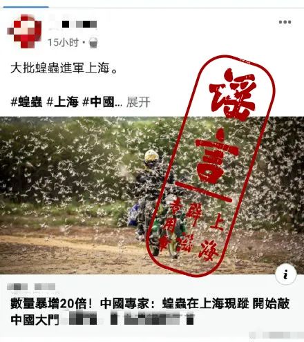 『上海海关』“大批蝗虫进军上海”？上海海关：只发现1只