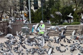 [疫情]10万+！这个国家为何成了欧美之外疫情最重的地方？「多图」