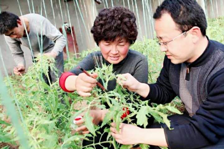 问答汇总版心得体会_问答总结_优质问答经验分享心得