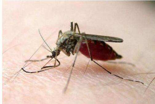 图片来源于网络