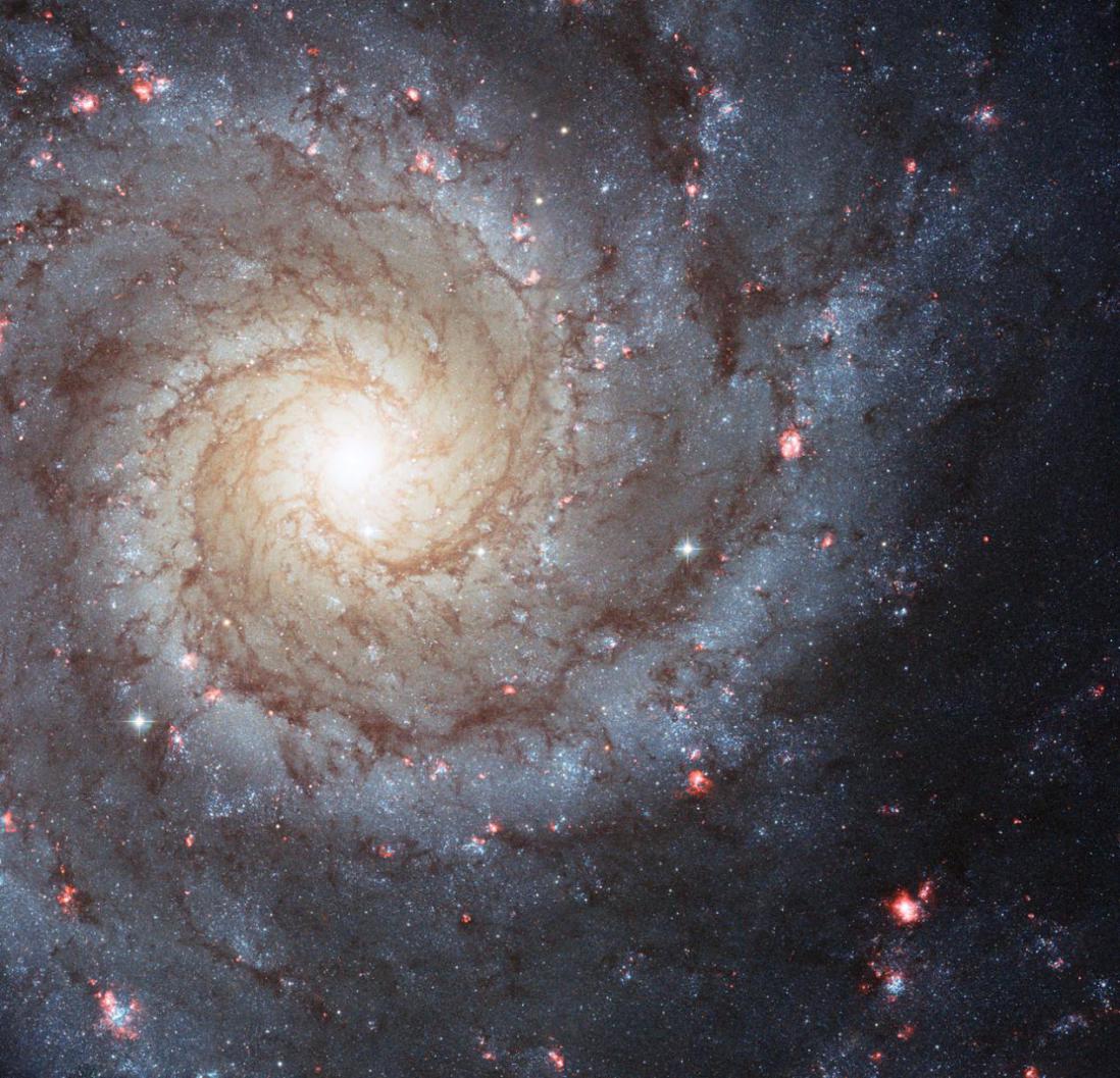 漩涡星系M74