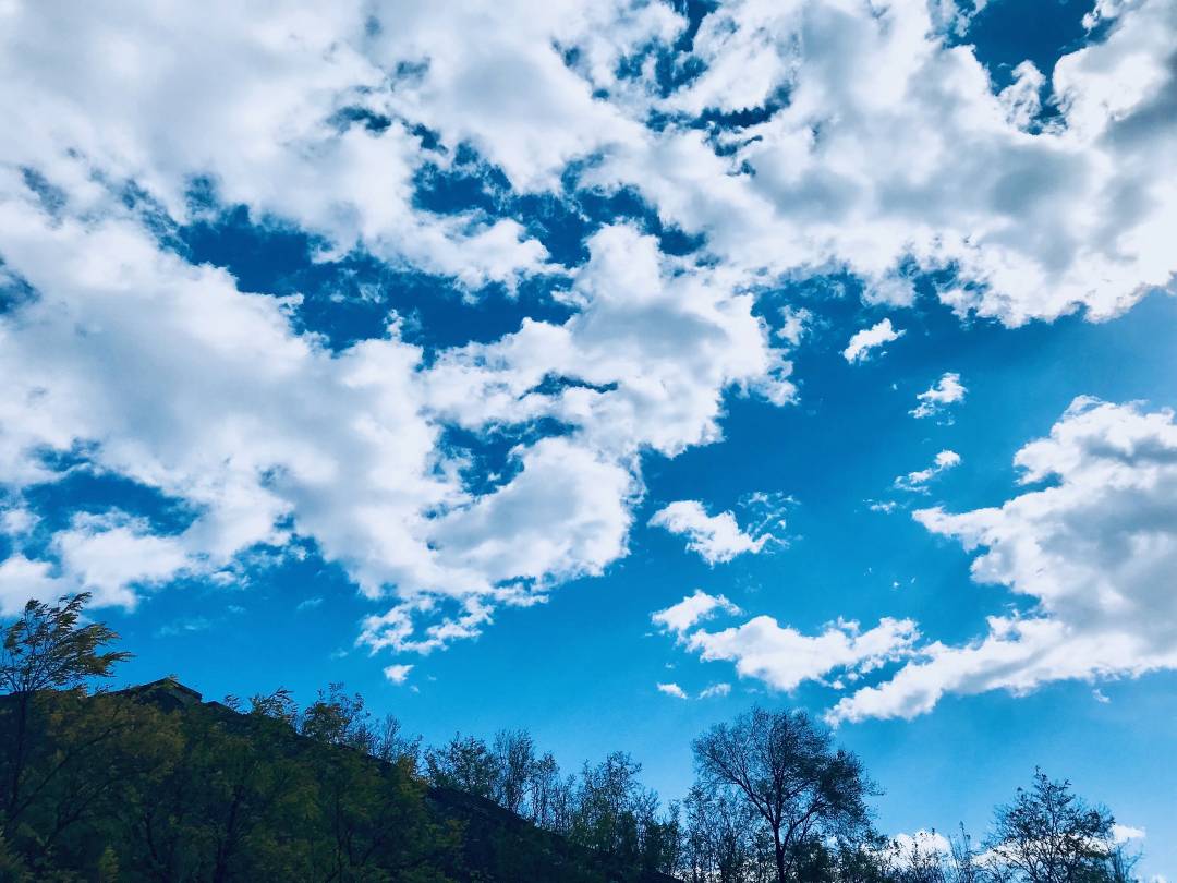 疫情▲科普：气温升高能否减缓新冠病毒传播？