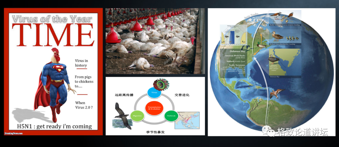 『埃博拉病毒』新冠、SARS、埃博拉……为什么近年来传染病越来越多？