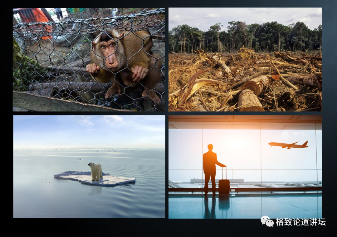 『埃博拉病毒』新冠、SARS、埃博拉……为什么近年来传染病越来越多？