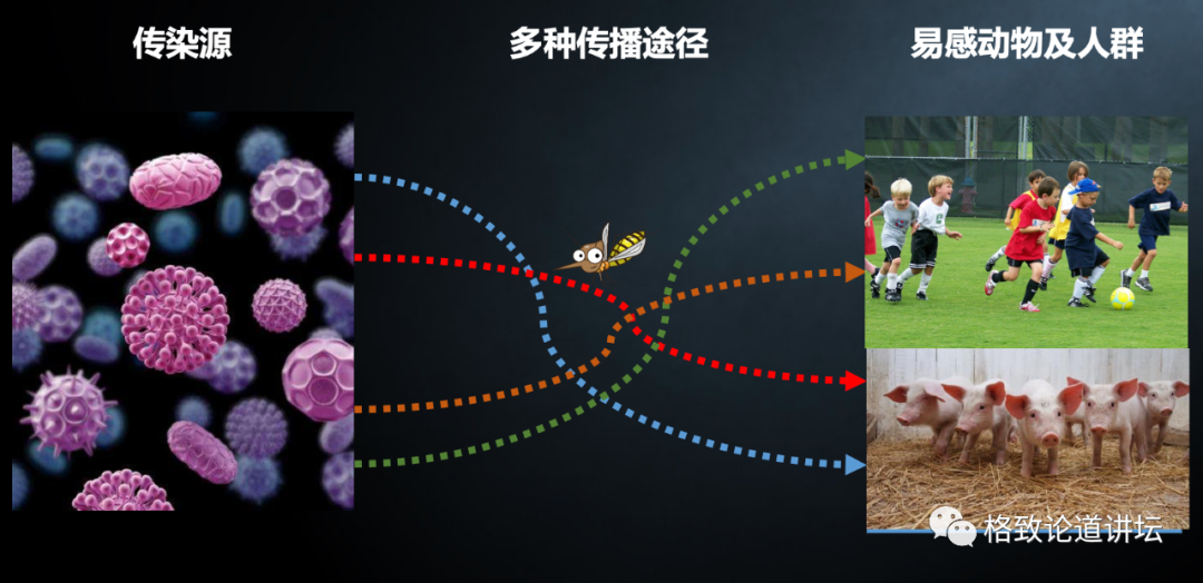 『埃博拉病毒』新冠、SARS、埃博拉……为什么近年来传染病越来越多？