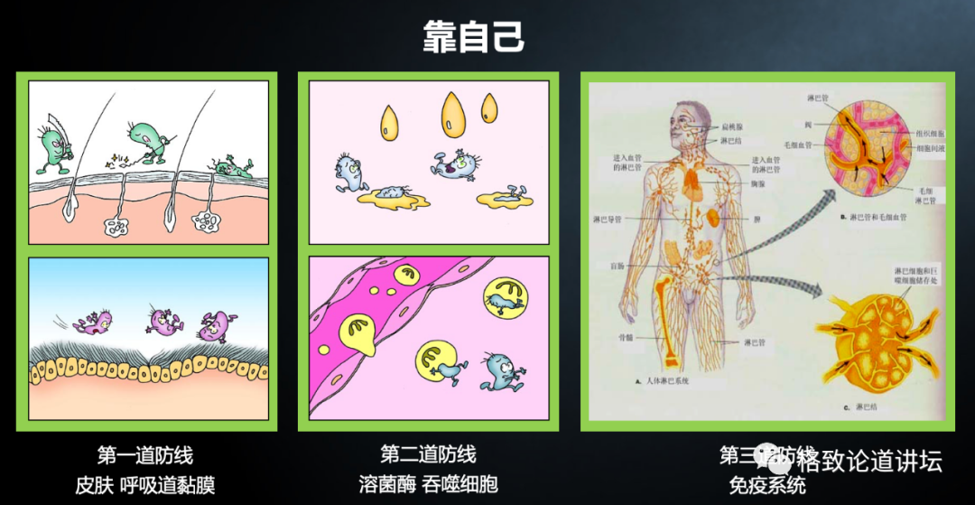 『埃博拉病毒』新冠、SARS、埃博拉……为什么近年来传染病越来越多？