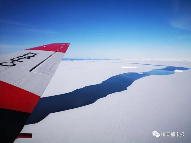 「南极」硬核!女教师“滞留”南极,祖国这样接她回家