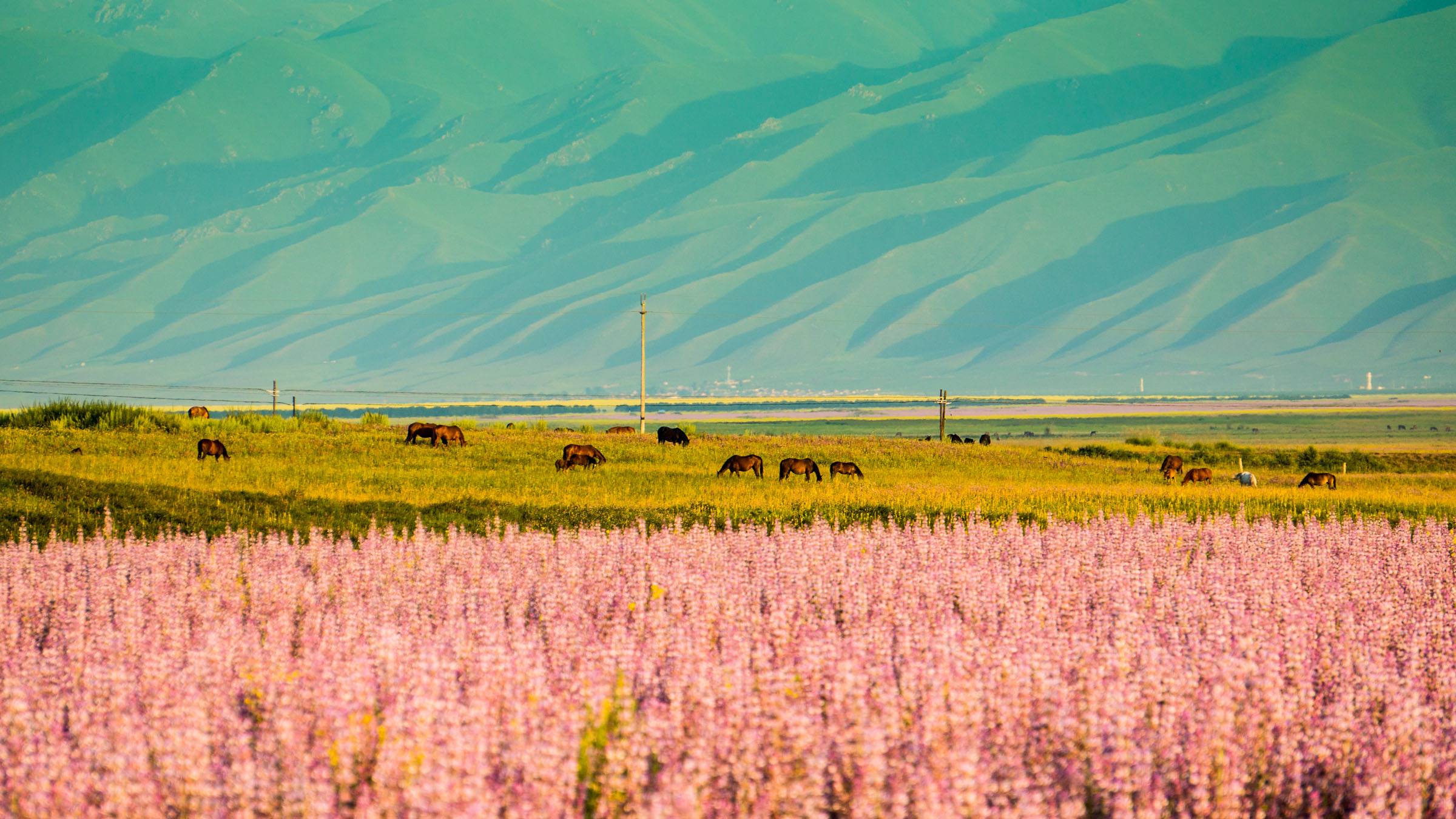 绝美新疆昭苏玉湖出现罕见蓝冰其实这还是一个变色湖