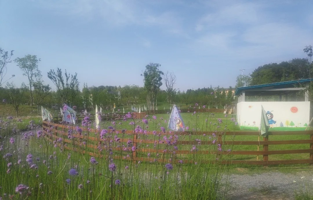 重磅回归铅山鹅湖绿乐园与你相约美好时光尽情放飞自己