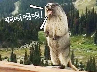 『电器』凌晨,夫妻俩在家看恐怖片,饮水机、晾衣架突然自行启动了