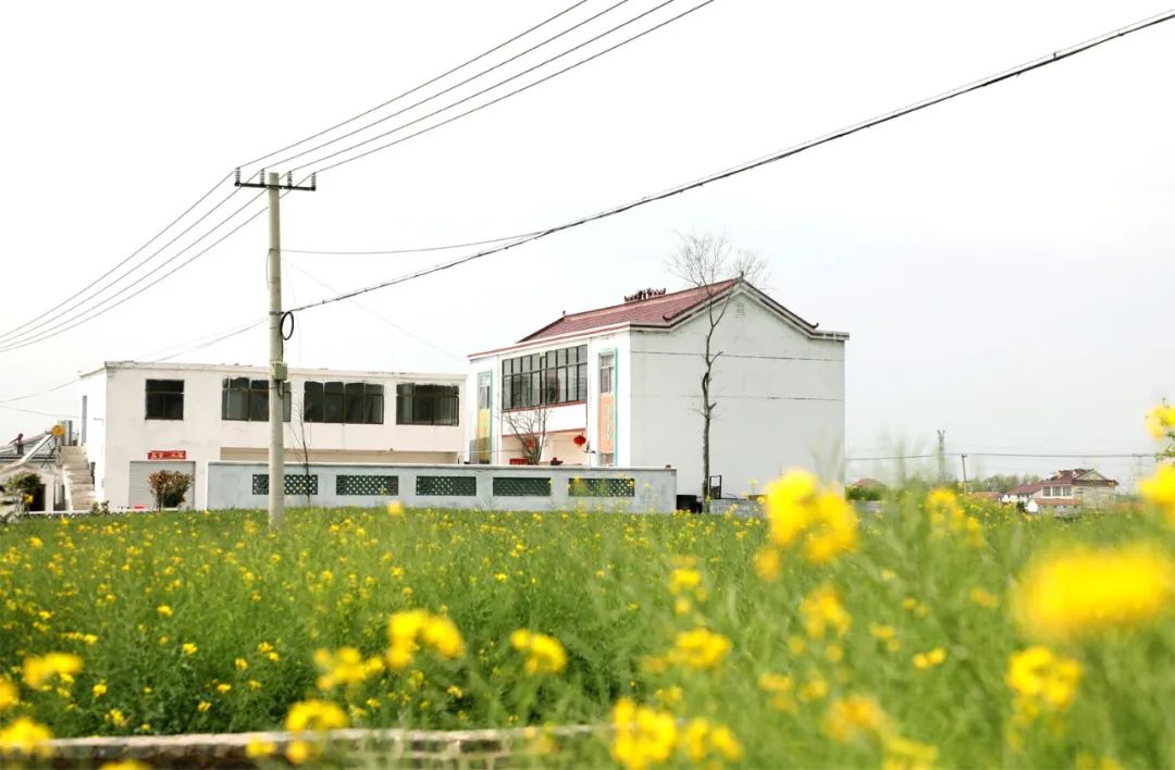 红窑镇金城村生态宜居美如画