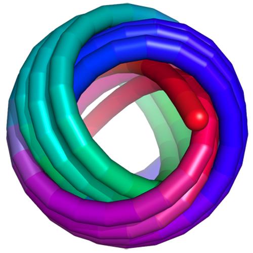 「受限空间」进展｜病毒DNA在受限空间中的多区域有序性