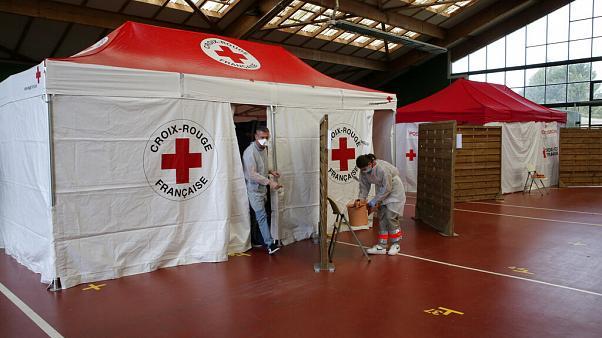 『疫情』法国研究院新发现：法国疫情毒株并非来自最初中国输入病例