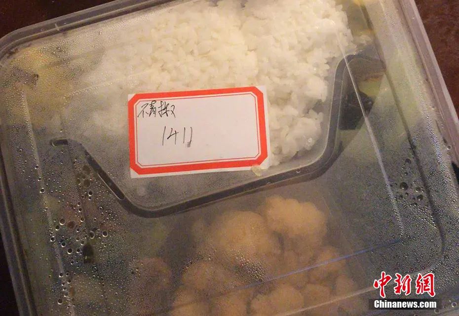 #留学#15岁留学生的归国隔离日志