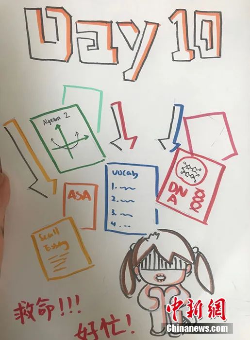 #留学#15岁留学生的归国隔离日志